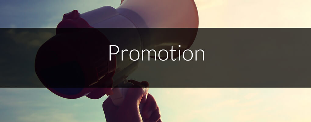 Promotion and Search Engine Optimisation