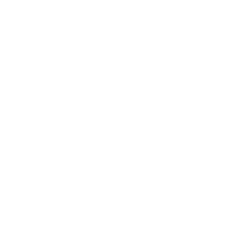 X-icon