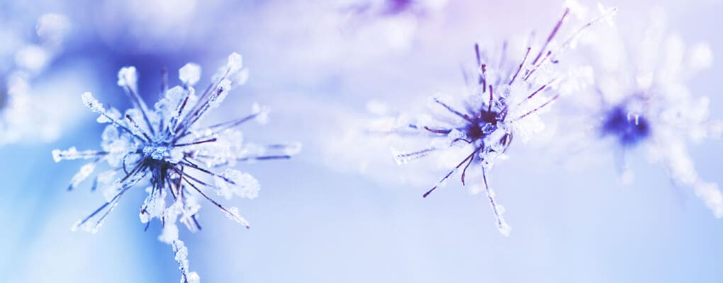 How Creative Design Builds Successful Life Science Businesses