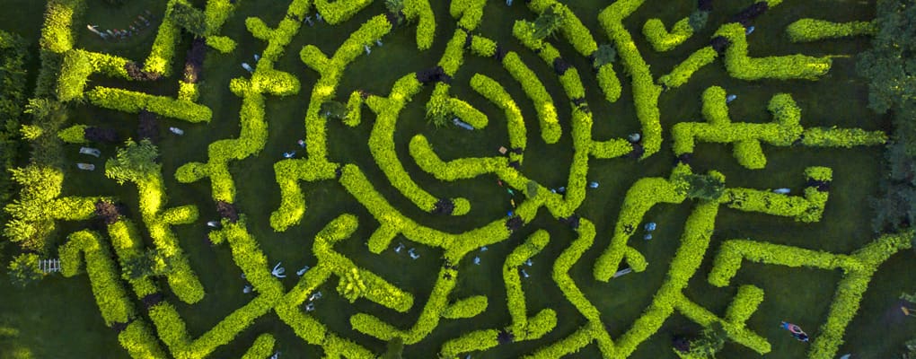 Proven Benefits of a Discovery Workshop for your Website Project