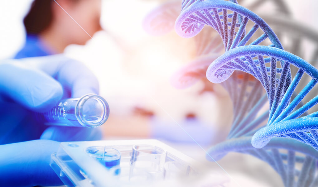 the challenges for life science seo