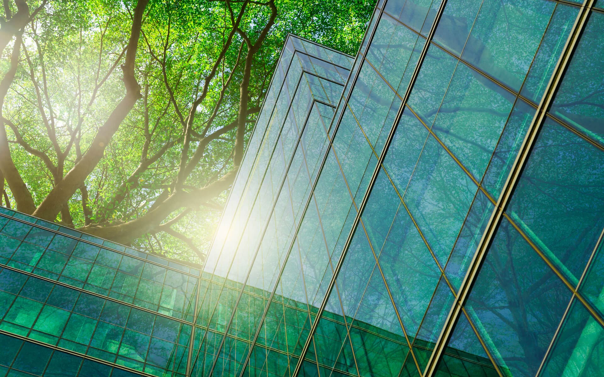 Sector image half page sustainable4 Sector image half page sustainable4