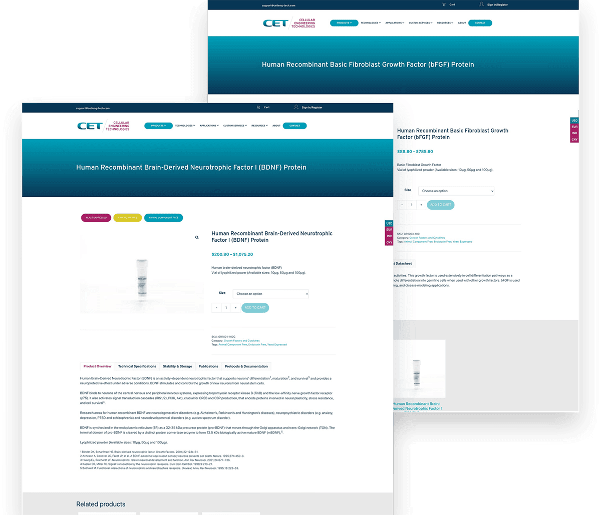 Cellular Engineering website product pages Cellular Engineering website product pages