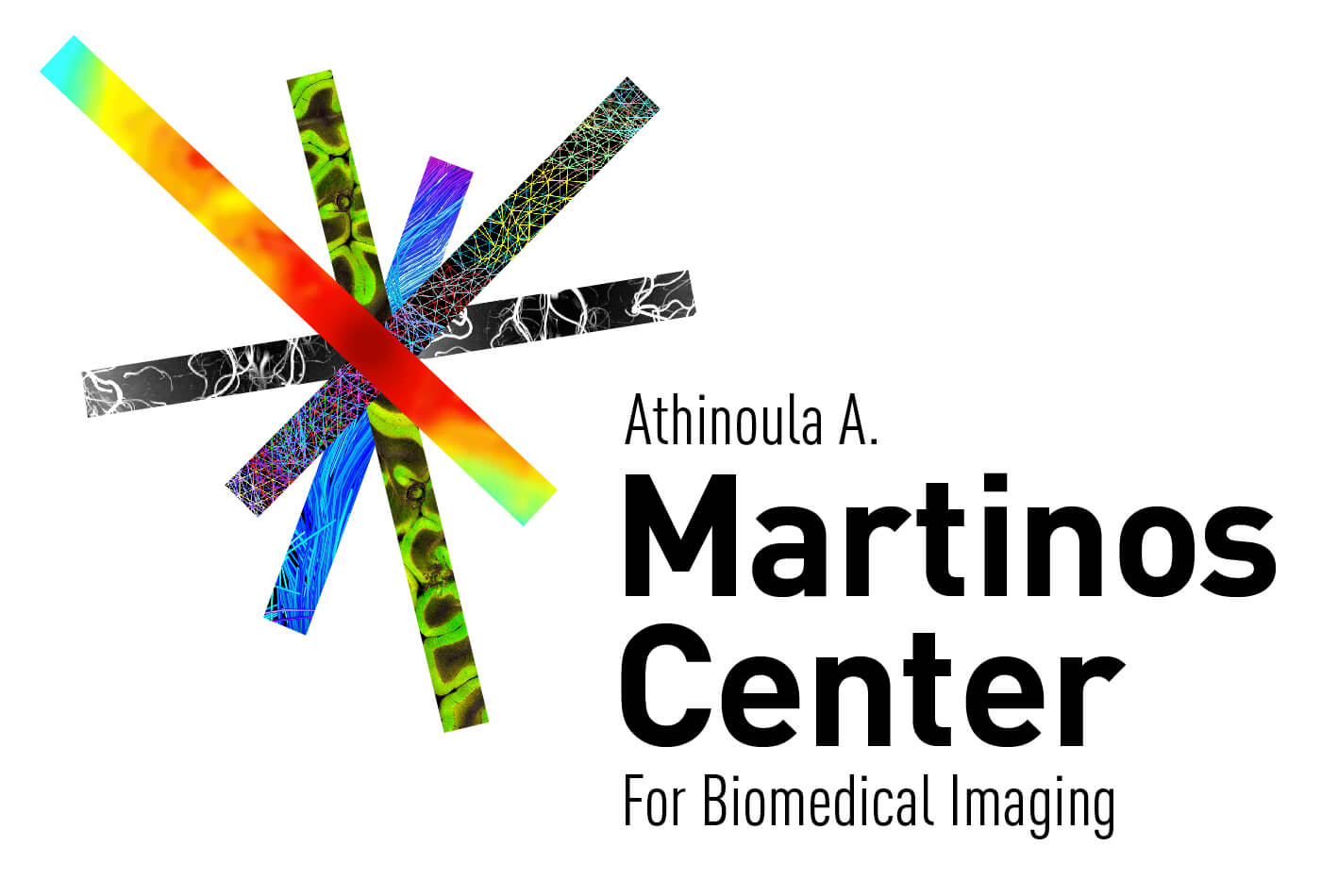 Martinos Centre for biomedical imaging logo