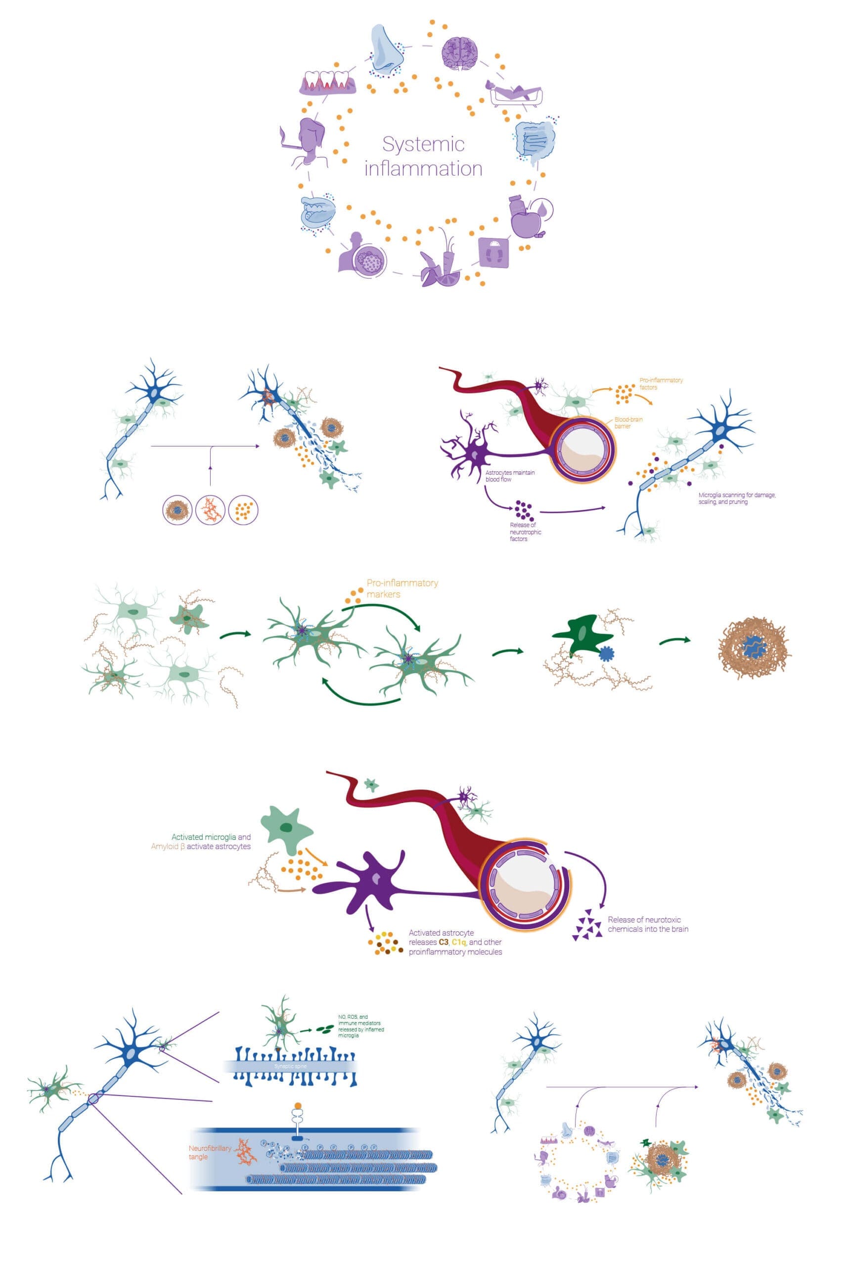 Springer Health illustrations Springer Health illustrations