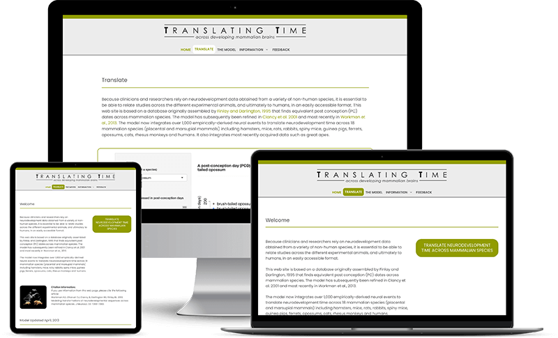 translating time website mock up translating time website mock up