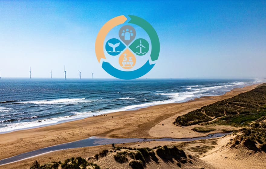 TRANSECTS coastal scene with logo on top