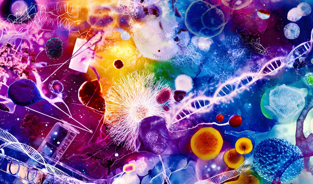 Why-our-SEO-First-Strategy-is-Critical-for-your-Life-Science-Website-4